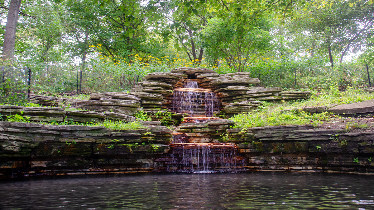 Columbus Park | TCLF